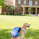 The Beaufort Bonnet Company TBBC Leighton Lunch Box - Barbados Blue/Beale Street Blue/Nantucket Navy/Kiawah Kelly Green
