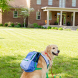 The Beaufort Bonnet Company TBBC Don't Forget Your Backpack - Barbados Blue/Beale Street Blue/Nantucket Navy/Kiawah Kelly Green