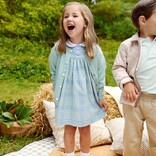 The Beaufort Bonnet Company TBBC Mary Dal Dress - Audubon Park Plaid