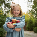 The Beaufort Bonnet Company TBBC Daphne Dress - Grier Green Herringbone/Nantucket Navy