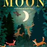 Moon: A Peek-Through Board Book