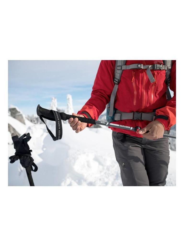 MSR Dynalock Explore ストック MSR DynaLock Explore Backcountry Poles Reviews - Trailspace