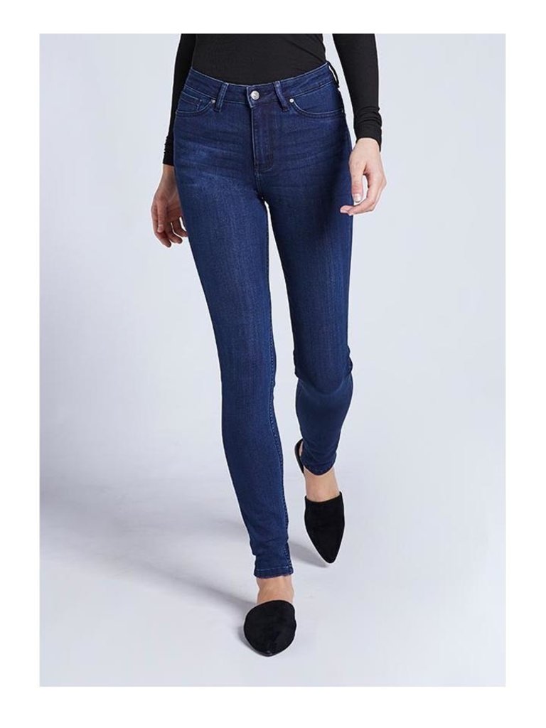 dish denim high rise skinny