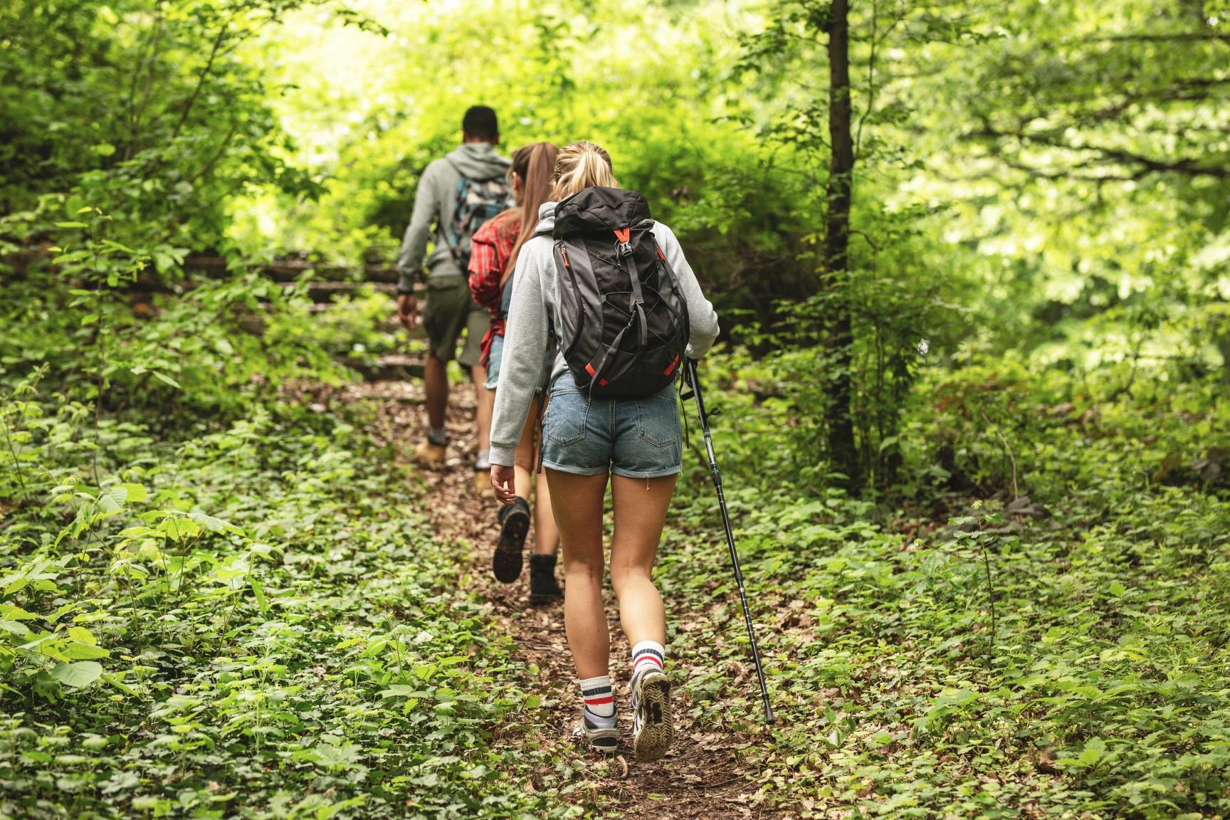 two people hiking in a green forest wearing shorts - spring weather
