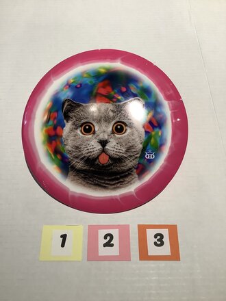 Dynamic Discs Dynamic Fuzion Orbit RAIDER (Kitty Trippin) Dist. Disc (13,5,0,3)