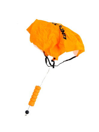 Anchorman Wingfoil Belt Leash