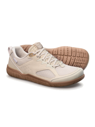 LEMS LEMS Primal Eco