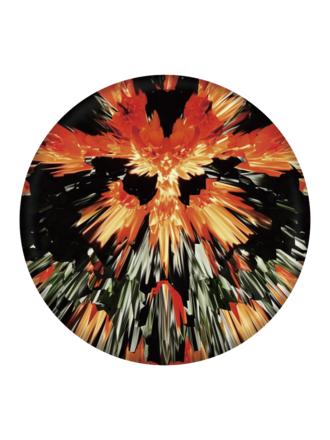 Waboba Waboba Wingman PRO Disc