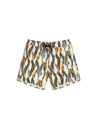 Picture Picture Men's Piau 15 Printed Boardshorts