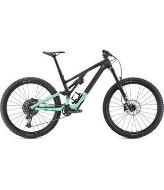 Specialized 2021 Stumpjumper EVO Expert