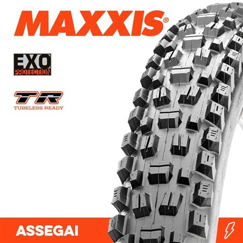 Maxxis hotsell assegai 29