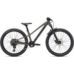 Specialized 2022 Riprock Expert 24