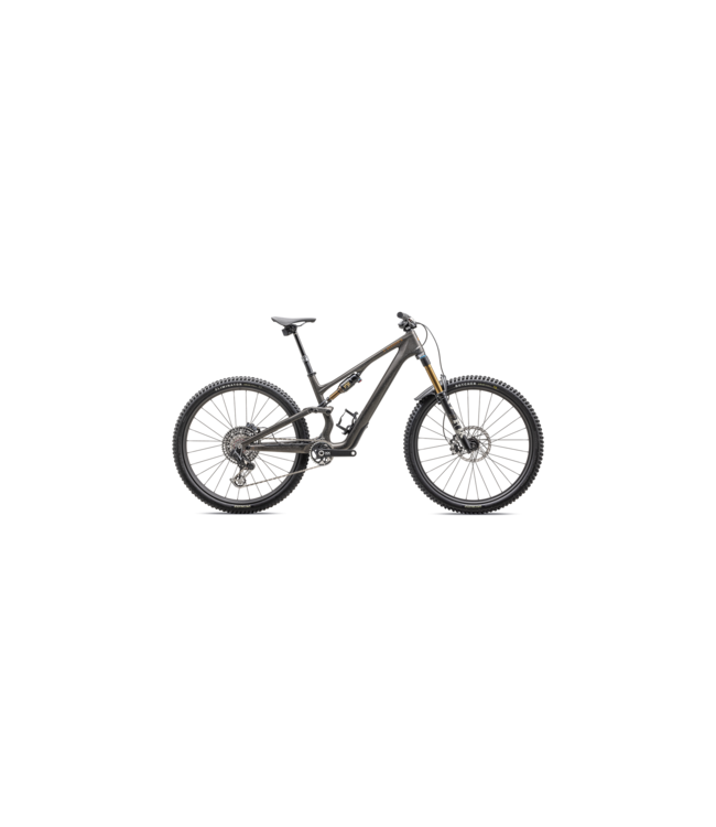 2025 S-Works Stumpjumper 15