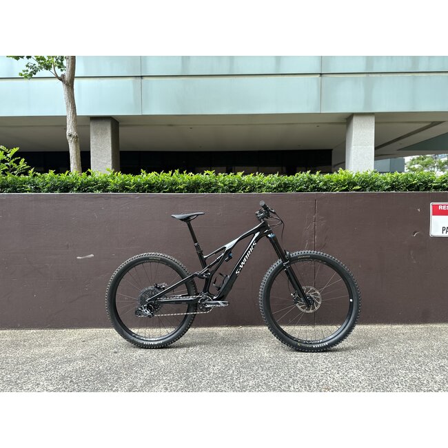 2023 Stumpjumper Evo Expert Custom Build