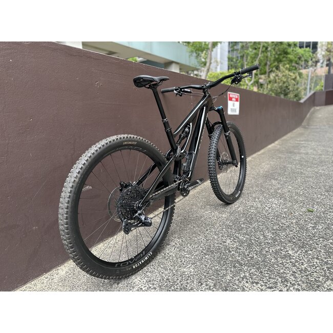2023 Stumpjumper Evo Expert Custom Build