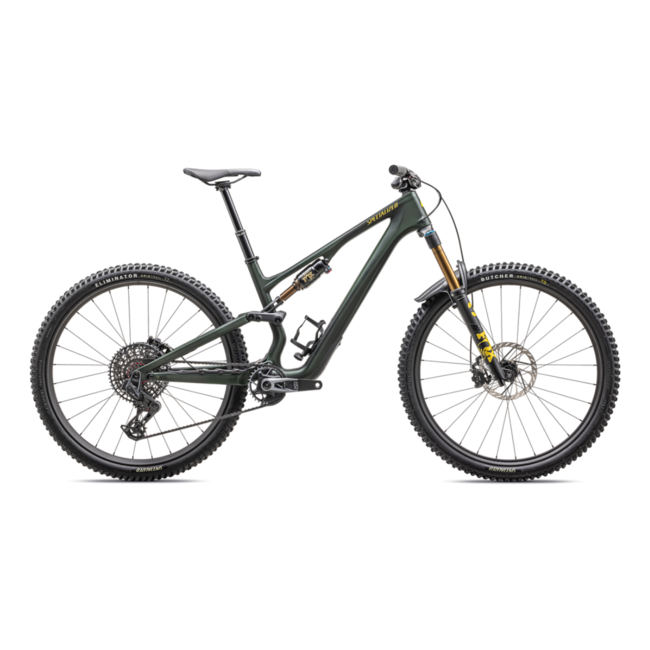 2025 Stumpjumper 15 Pro