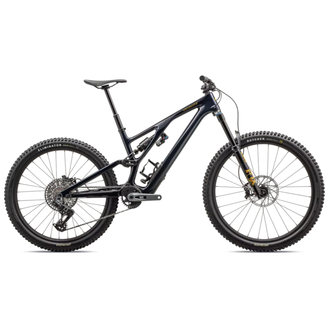 2024 Stumpjumper EVO Expert T-Type