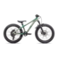 2025 P.1 Trail