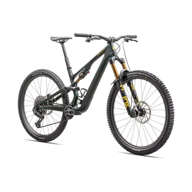 2025 Stumpjumper 15 Pro