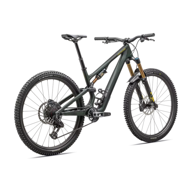 2025 Stumpjumper 15 Pro