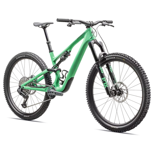 2025 Stumpjumper 15 Expert