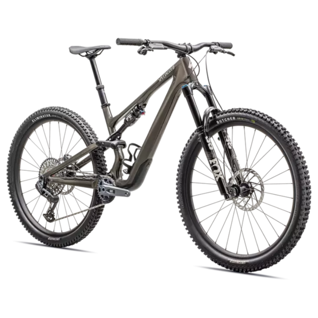 2025 Stumpjumper 15 Expert