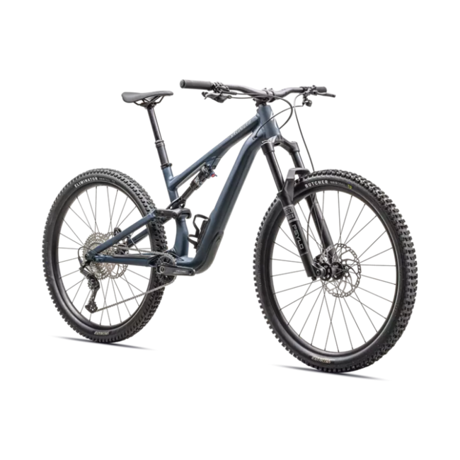 2025 Stumpjumper 15 Alloy