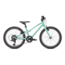 2022 Jett 20