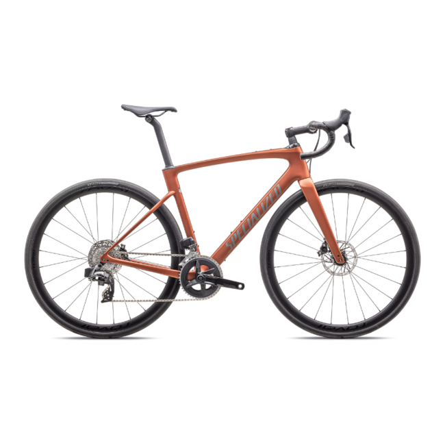 2025 Roubaix SL8 Expert