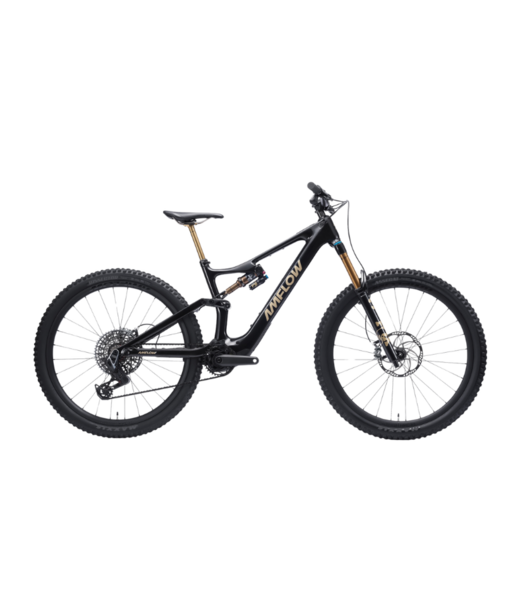 Amflow 2025 Amflow PL Carbon Pro 800Wh