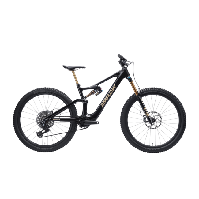 2025 Amflow PL Carbon Pro 800Wh