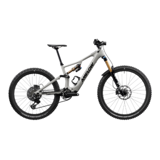 Amflow Amflow PX Carbon Pro