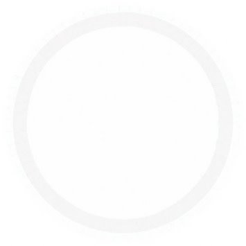 Frosty White Paper Plates, 7" 20ct