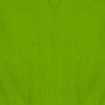 Citrus Solid Tissue, 8ct