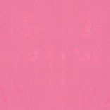 Pink Tissue, 8ct