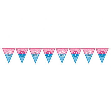 Girl or Boy? Paper Pennant Banner