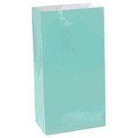 Large Packaged Paper Bags - Robins Egg Blue