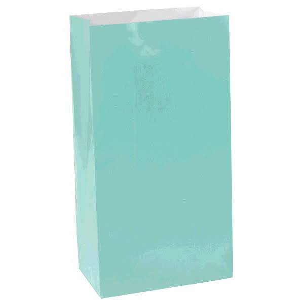 Large Packaged Paper Bags - Robins Egg Blue