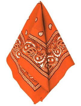 Orange Bandana