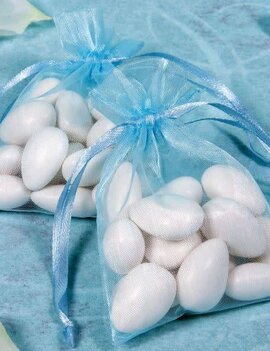 Robin's-egg Blue Organza Bags 24 Count