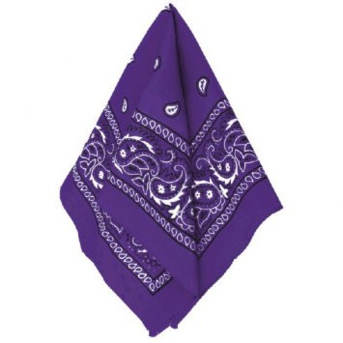 Purple Bandana