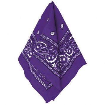 purple bandana pants