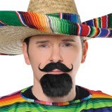 Facial Hair Fiesta Set