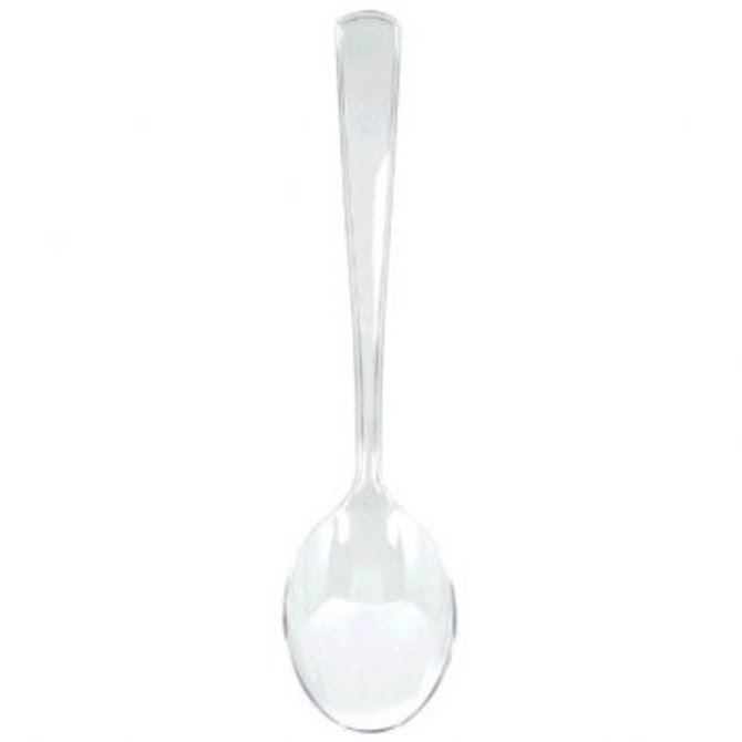 Clear Plastic Serving Spoon