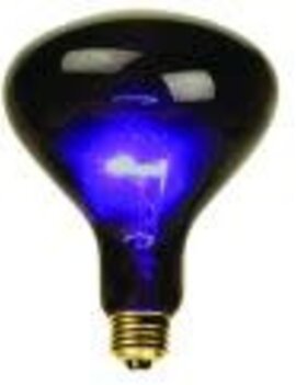 100 Watt Mushroom Blacklight Bulb