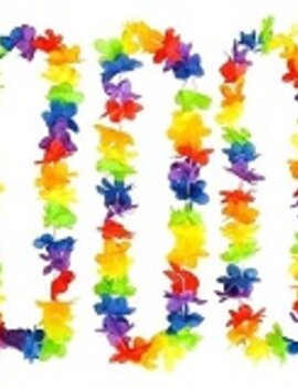 Rainbow Spirit Leis-6ct