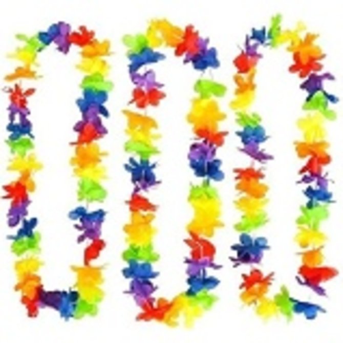 Rainbow Spirit Leis-6ct