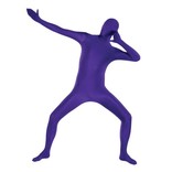 Adult Purple Partysuit™