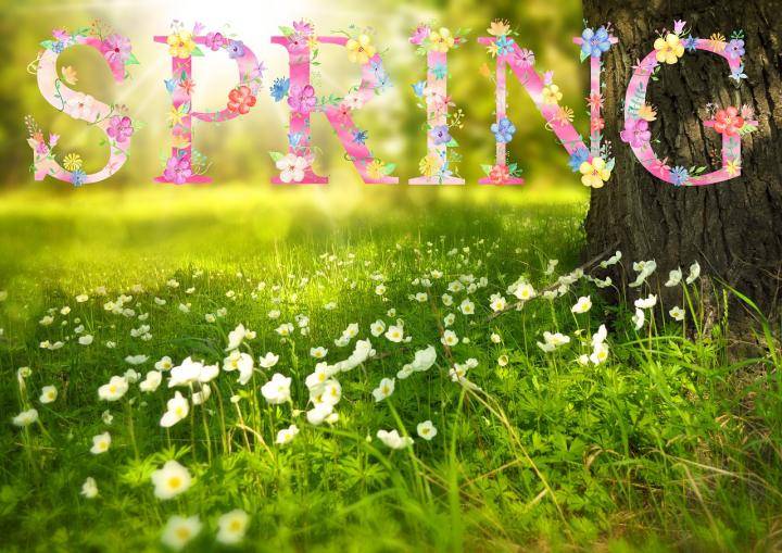 EASTER / SPRING