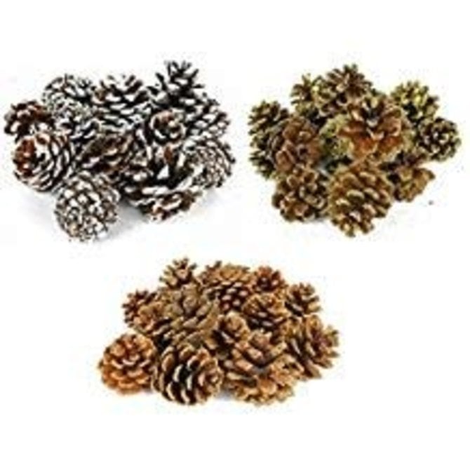 Pine cones Bag, 15ct